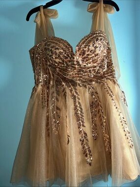 Gold Sequin Tulle Party Dress